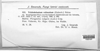Trichobelonium kneiffii image